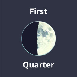 Image depicts the first quarter of the lunar cycle where it is half illuminated. Learn about Lunar Cycles and Magick from the Witchy Guide